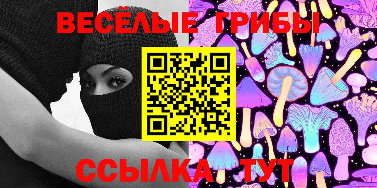 Галлюциногенные грибы MAGIC MUSHROOMS  Вход с VPN  Абакан 